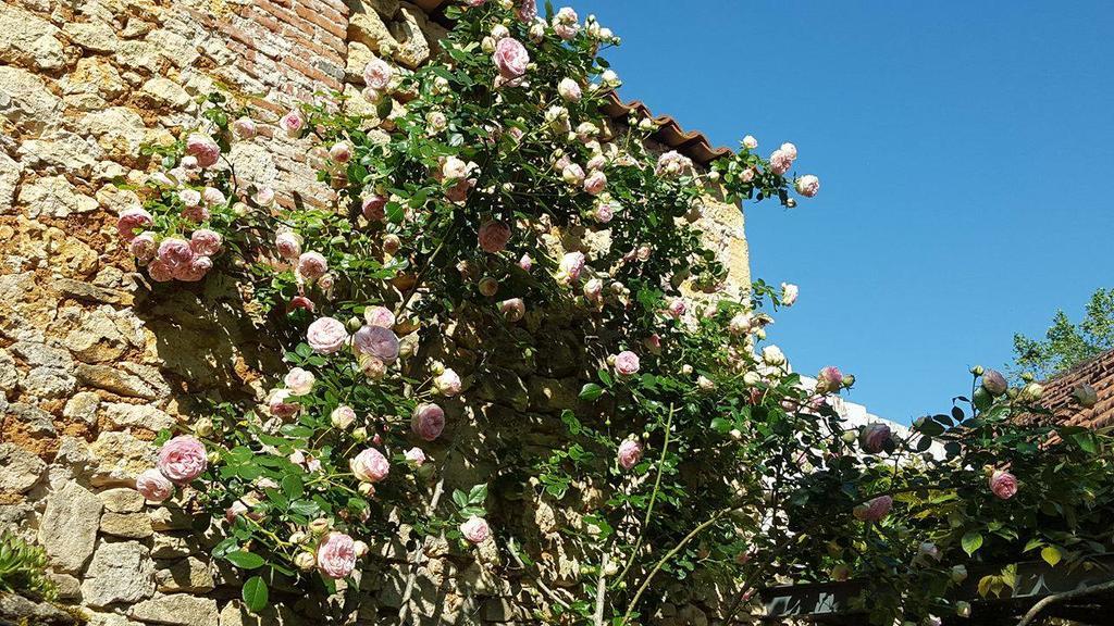 Le Clos Des Songes Saint Leon sur Vezere Bagian luar foto